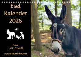 Esel Wandkalender 2026