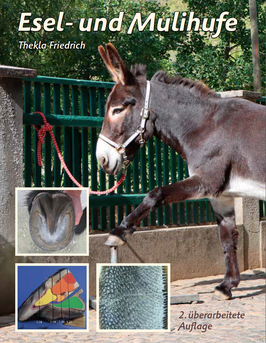 Buch: Esel- und Mulihufe