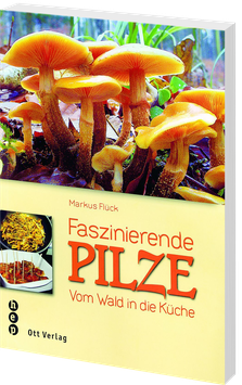 Faszinierende Pilze