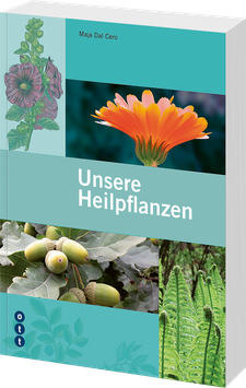 Unsere Heilpflanzen