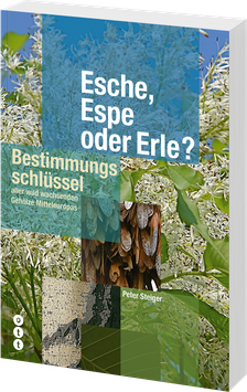 Esche, Espe oder Erle (Bestimmungsschlüssel)