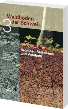 Waldböden der Schweiz 3