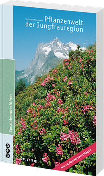 Pflanzenwelt der Jungfrauregion