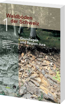 Waldböden der Schweiz 1