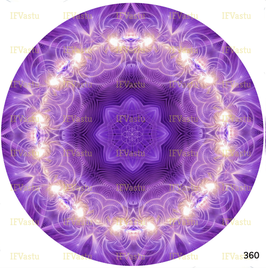 Mandala GRAINE DE VIE 360