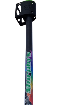 RIB Carbon Mast for coach boats