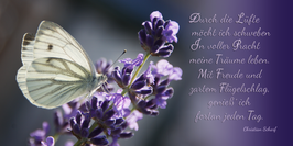 " Träume leben... " Motiv Schmetterling im Lavendel Text von Christian Scharf