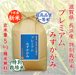 u*7様 甲賀のおじいちゃんのおいしいお米　みずかがみ　精米済約9㎏　リピーター mizu20.jpg