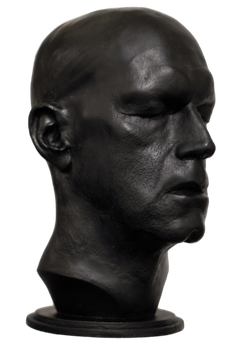 CLASSICAL MANE BUST 2024