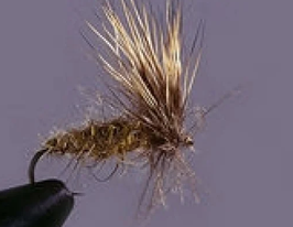 TF - 10 Reh-Haar Sedge