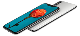 ALN Phone 29s