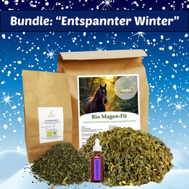 Entspannter Winter