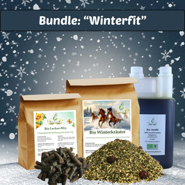 Winterfit