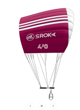 Parawing Sroka FYNIX