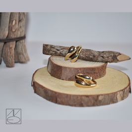ANILLO GANGES