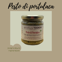 pesto di Portulaca