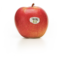 POMME SWING