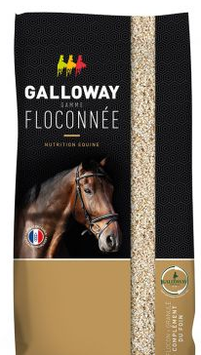 Galloway - Floconnés - 20 kg