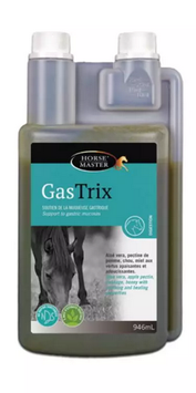 Gastrix Horse Master - Estomac cheval