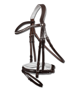 Chocolate Pullback