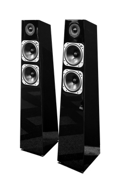 Totem Acoustic Thunderbird