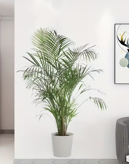 Wandsticker „Tropische Palme im Topf“ – moderne, selbstklebende Pflanzen-Deko. Leicht anzubringen, ideal für Wohnzimmer, Büro & Flur Schweiz Zürich