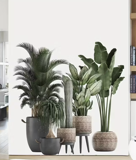 Wandsticker Schweiz „Urban Jungle Kakteen & Palmen“ – selbstklebende Wandfolie, moderne Pflanzen-Deko für Wohnzimmer, Schlafzimmer & Büro.