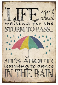 Life is about learning to dance in the rain - Das Leben bedeutet, zu lernen, im Regen zu tanzen Metallschild Motivation Spruch Deko Schweiz