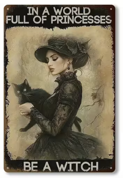 In a World Full of Princesses, Be a Witch - Metallschild Blechschild Spruch Frauen Musik Geschenk Schweiz