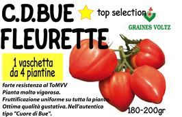 0011 POMODORO C.B. LISCIO SELEZ. FLEURETTE F1 4PZ