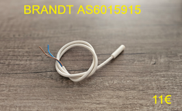 SONDE DE TEMPÉRATURE FRIGO : BRANDT AS6015915