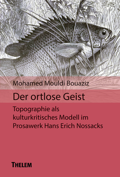 Der ortlose Geist - Topographie als kulturkritisches Modell im Prosawerk Hans Erich Nossacks