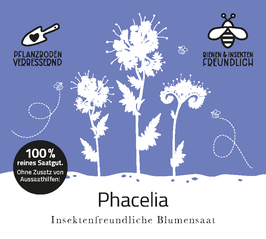 Phacelia