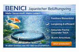 BENICI Belüftungsring Größe (Ø:70cm)