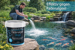 1 Kg Fadenalgen Stopp verdrängt sicher Fadenalgen