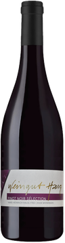 Pinot noir Sélection