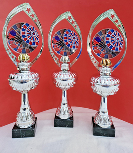 3er Serie Acryl Pokale Dart Darts E -Dart und Steel Dart Turnier Pokal silber mit Gravur