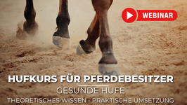 Hufkurs Pferd online • Hilfe zur Selbsthilfe für Pferdebesitzer • Theoretisches Wissen - Praktische Umsetzung