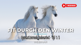 Fit durch den Winter/ Fit in die Halbzeit/ Fit in den Frühling • Gymnastizierung am Boden