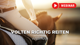 Volten richtig reiten