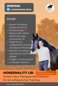 Pferdepersönlichkeit "Selbstsicher, Gelangweilt, Unmotiviert, Bewegungsökonom" • Diesen Pferdetyp besser verstehen für mehr Motivation