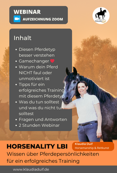 Horsenalities - Die Horsenality LBI • Diesen Pferdetyp besser verstehen und mehr Motivation erreichen