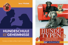 Bundle Angebot - Gratis Versand