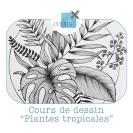 Cours de dessin