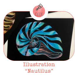 Atelier DIY - Illustration "Nautilus"