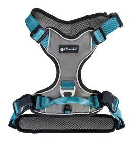 Petlando Magnetech Geschirr