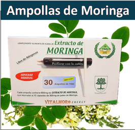 .  EXTRACTO DE MORINGA EN AMPOLLAS  (30 ampollas)