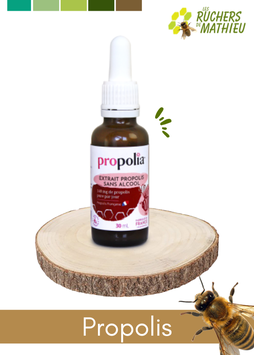 Extrait Propolis
