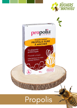 Propolis brute