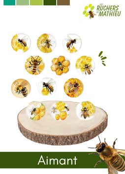 Aimant Abeille
